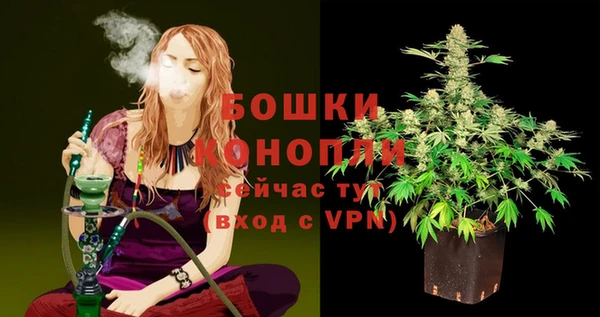 PSILOCYBIN Беломорск